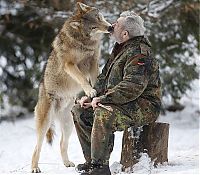 TopRq.com search results: Dining with wolves by Werner Freund