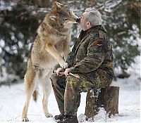 Fauna & Flora: Dining with wolves by Werner Freund