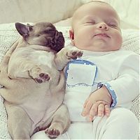 TopRq.com search results: baby with bulldog puppies