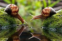 Fauna & Flora: animal photography