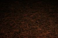 earthworm attack