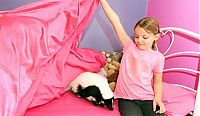 TopRq.com search results: Stush, skunk pet