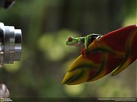 TopRq.com search results: Animal and wildlife photography by National Geographic