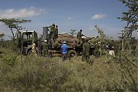 Fauna & Flora: Relocating elephants project, Kenya Wildlife Service