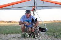TopRq.com search results: Shadow, the paragliding dog