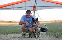 Fauna & Flora: Shadow, the paragliding dog