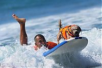 Fauna & Flora: Surf Dog Championship 2013, Coronado Bay Resort, California, United States