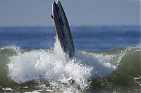 TopRq.com search results: Surf Dog Championship 2013, Coronado Bay Resort, California, United States