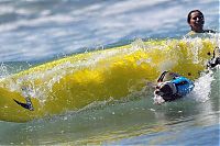 TopRq.com search results: Surf Dog Championship 2013, Coronado Bay Resort, California, United States