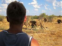 TopRq.com search results: Living with lions by Nicolai Frederik Bonnén Rossen, Kalahari desert of Botswana