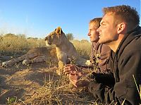 TopRq.com search results: Living with lions by Nicolai Frederik Bonnén Rossen, Kalahari desert of Botswana