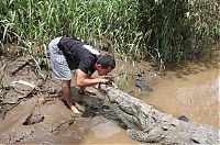 Fauna & Flora: Crocodile river adventure, Tarcoles River, Tarcoles, Costa Rica