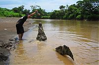 Fauna & Flora: Crocodile river adventure, Tarcoles River, Tarcoles, Costa Rica