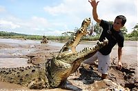 Fauna & Flora: Crocodile river adventure, Tarcoles River, Tarcoles, Costa Rica