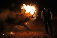 TopRq.com search results: Toro Jubilo, Toro de fuego, Medinaceli, Spain
