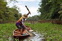 Fauna & Flora: Arapaima fishing, Amazon River, Brazil