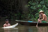 Fauna & Flora: Arapaima fishing, Amazon River, Brazil