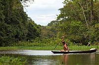 Fauna & Flora: Arapaima fishing, Amazon River, Brazil