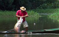 Fauna & Flora: Arapaima fishing, Amazon River, Brazil