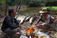 Fauna & Flora: Arapaima fishing, Amazon River, Brazil