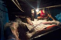 Fauna & Flora: Arapaima fishing, Amazon River, Brazil