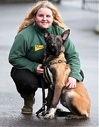 Fauna & Flora: Malinois Belgian Shepherd dog with two noses, Glasgow, Scotland