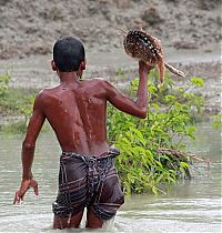 TopRq.com search results: Boy saves a baby fawn, Bangladesh