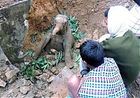 TopRq.com search results: rescuing a baby elephant