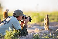 Fauna & Flora: Meerkat selfies by Will Burrard-Lucas