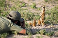 Fauna & Flora: Meerkat selfies by Will Burrard-Lucas