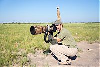 Fauna & Flora: Meerkat selfies by Will Burrard-Lucas