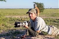 Fauna & Flora: Meerkat selfies by Will Burrard-Lucas