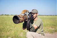 Fauna & Flora: Meerkat selfies by Will Burrard-Lucas