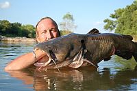 Fauna & Flora: catching a giant catfish