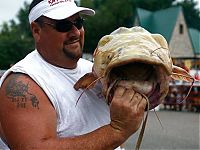 Fauna & Flora: catching a giant catfish