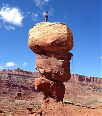 Fauna & Flora: cat climbs mountains and desert treks