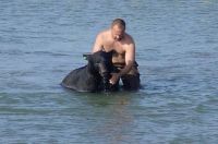 TopRq.com search results: saving a bear from drowning