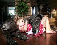 Fauna & Flora: dog and the child