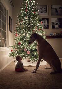 Fauna & Flora: dog and the child