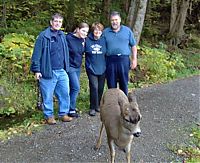 Fauna & Flora: whale watchers found deers in the sea