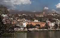 Fauna & Flora: Swarm of locusts, Antananarivo, Madagascar