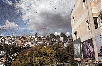 Fauna & Flora: Swarm of locusts, Antananarivo, Madagascar