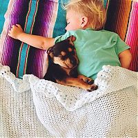 Fauna & Flora: dog and the child friends