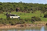 Fauna & Flora: Rescuing a baby elephant, Addo Elephant National Park, Port Elizabeth, South Africa