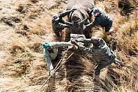 TopRq.com search results: Rescuing rhinoceros, Kruger National Park, South Africa