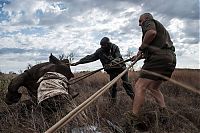 Fauna & Flora: Rescuing rhinoceros, Kruger National Park, South Africa