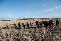 Fauna & Flora: Rescuing rhinoceros, Kruger National Park, South Africa