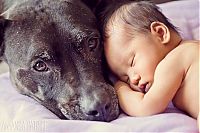 Fauna & Flora: dog and the child