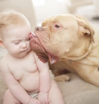 Fauna & Flora: dog and the child