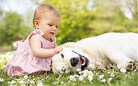 Fauna & Flora: dog and the child